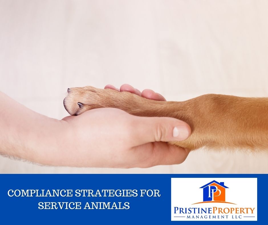 Compliance Strategies for Service Animals